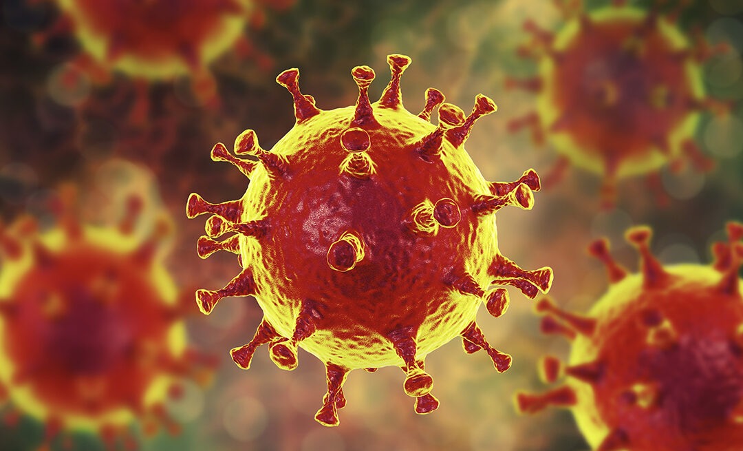 Sertésinfluenza (H1N1) – Túlbecsült adatok?
