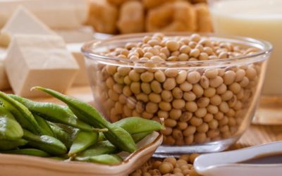 A SZÓJA – az edamame, a szójatej, a tofu és a sufu