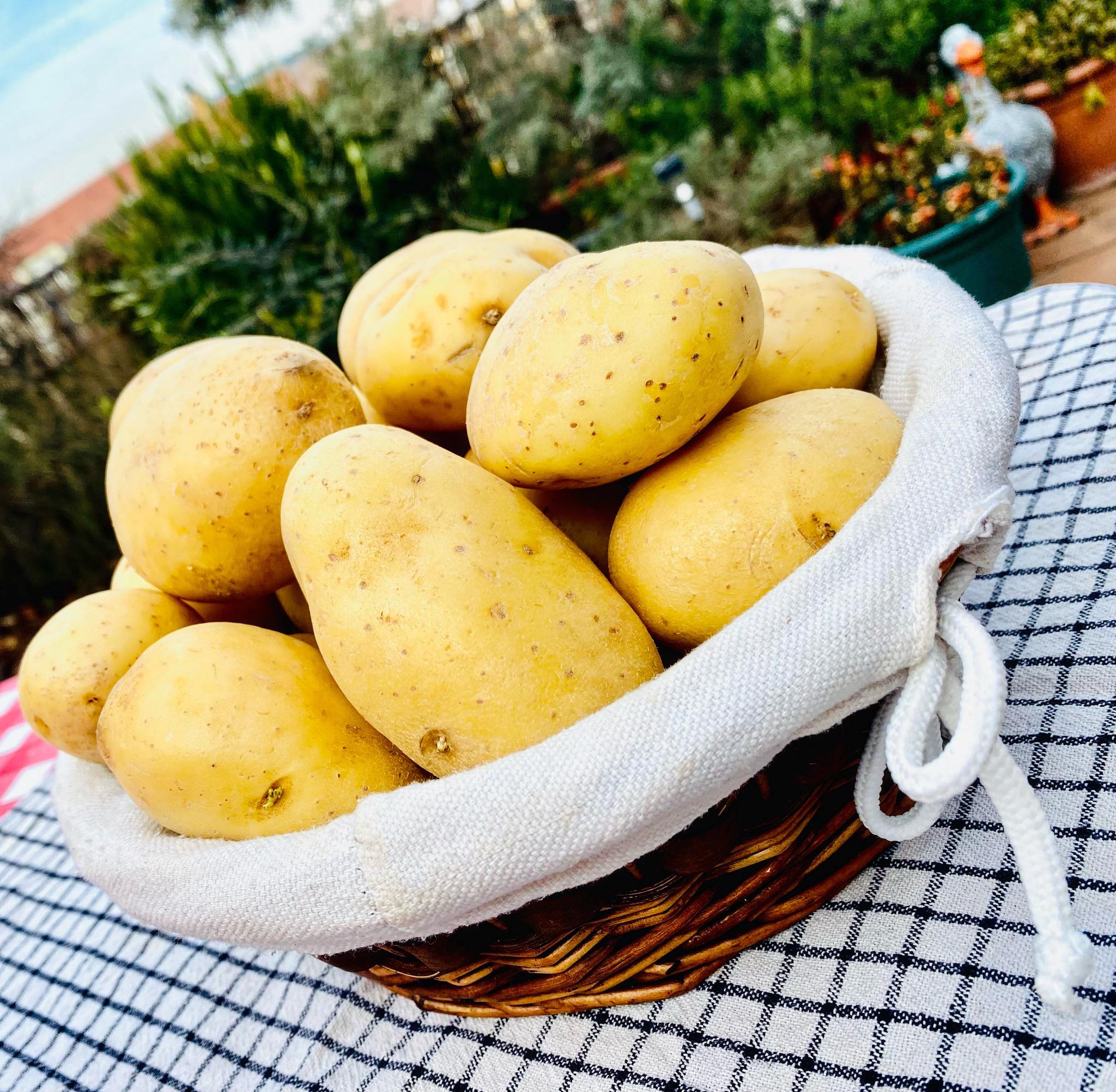 A Haller-teraszon, a FOOD&WINE blog székhelyén is a krumplitej az új, környezettudatos sláger!