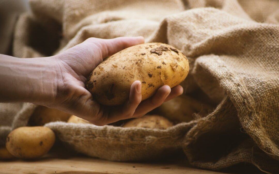 MAGYAR NEMZETI LEVES – Az olcsó krumplileves?