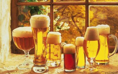 SÖR – 100 féle sör a februári sörfesztiválon