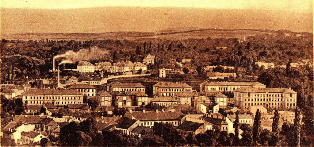 Kolozsvár a 19. század végén