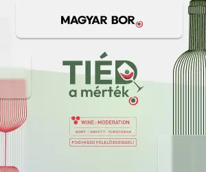 Tiéd a mérték!