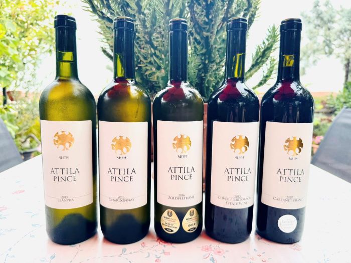 Attila Pince – a hosszan érlelhető borok mestere