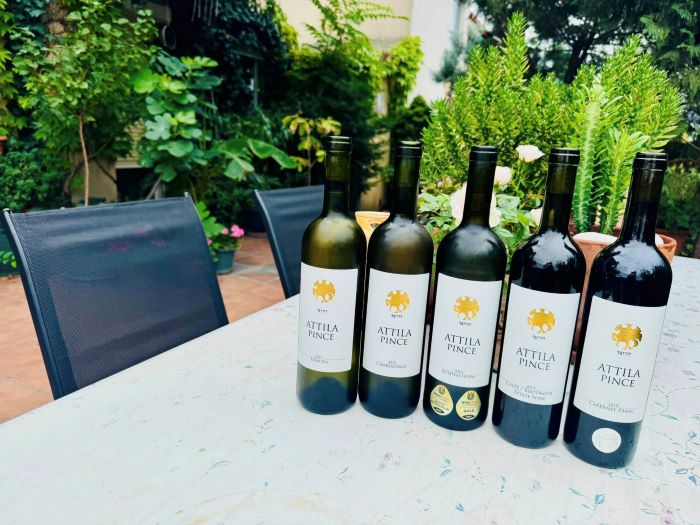 CSÍKI & DÁNIEL - Vámos Attila borait kóstoltuk a Haller-teraszon