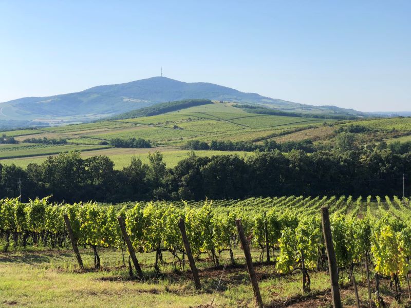 490583652 1200132345452901 2286872980651367945 n