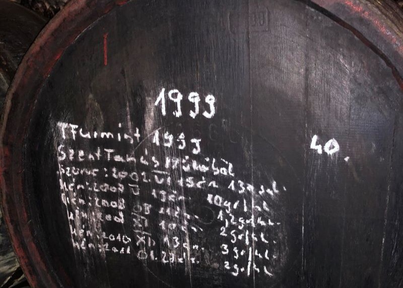 493336397 1213563177443151 8424285534344269214 n