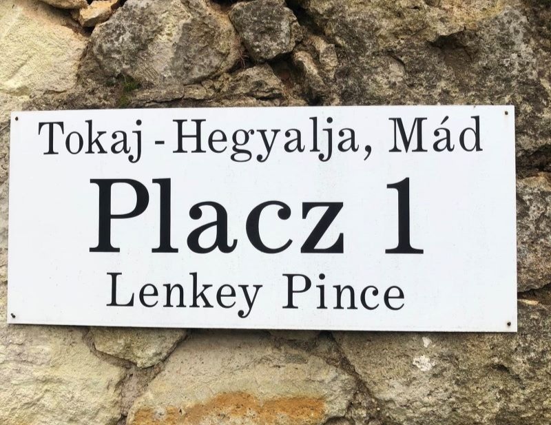 504357367 1248951040571031 1656397806114082011 n