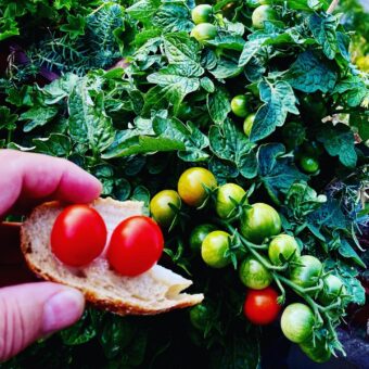 HÚSLEVES ÉS TÁNTOTT HÚS - CSÍKI SÁNDOR