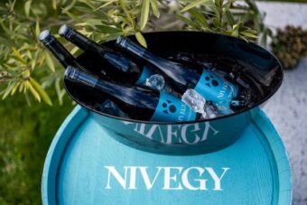 Nivegy-völgy
