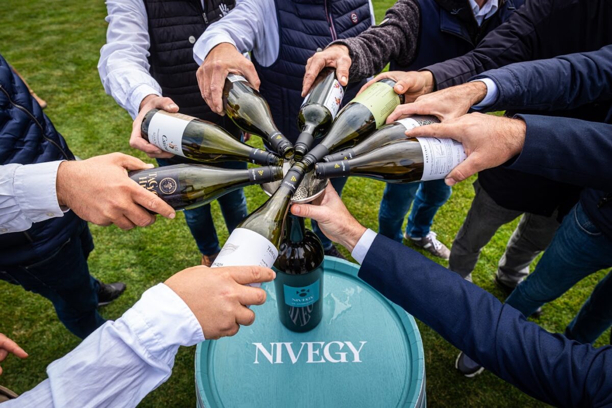 Nivegy-völgy